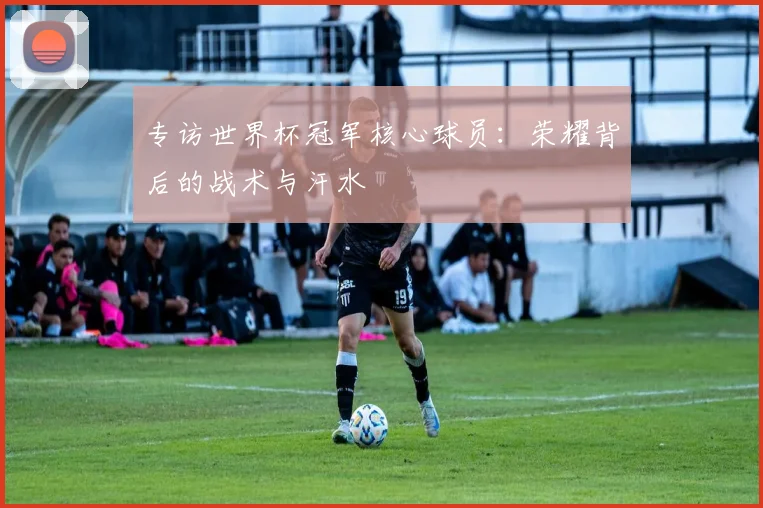 专访世界杯冠军核心球员:荣耀背后的战术与汗水