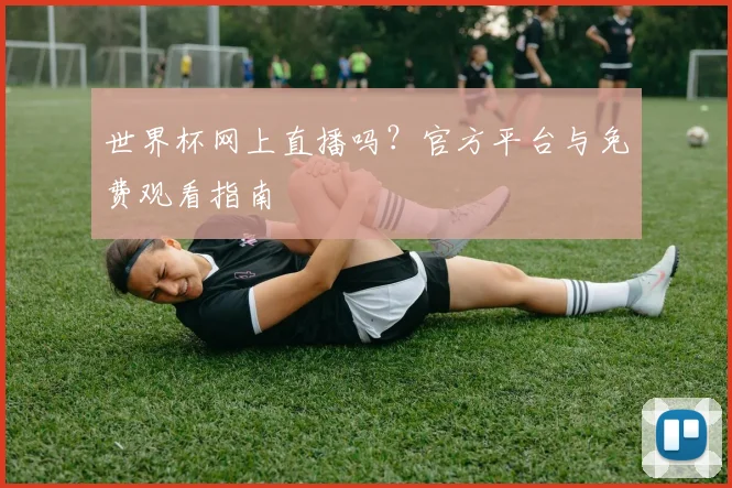 世界杯网上直播吗?官方平台与免费观看指南
