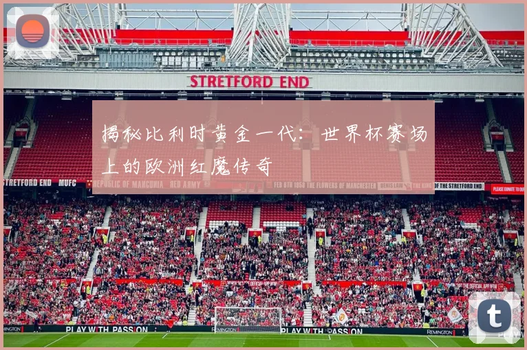 揭秘比利时黄金一代:世界杯赛场上的欧洲红魔传奇