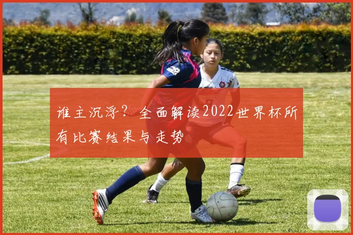 谁主沉浮?全面解读2022世界杯所有比赛结果与走势